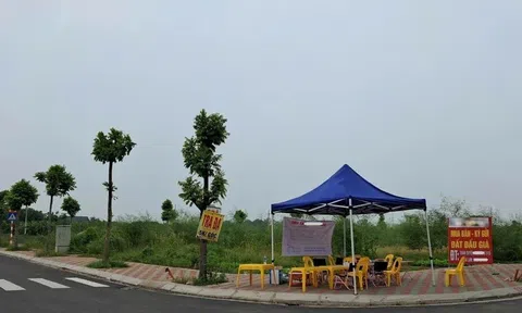 Thủ tướng Chính phủ chấn chỉnh công tác đấu giá quyền sử dụng đất