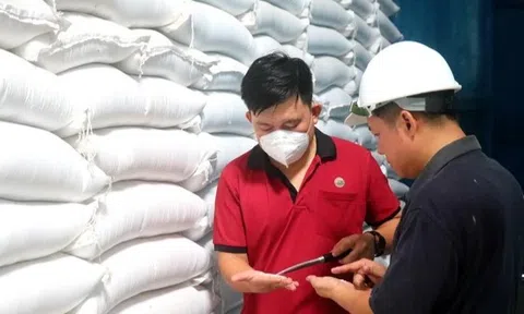 Một triệu ha lúa chất lượng cao: Gạo giảm phát thải chưa có đơn hàng nào được đối tác đặt mua