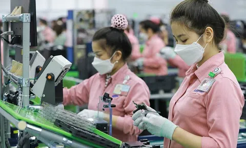 EuroCham mong muốn và sẵn sàng hỗ trợ Việt Nam đẩy mạnh chuyển đổi xanh cho nền kinh tế