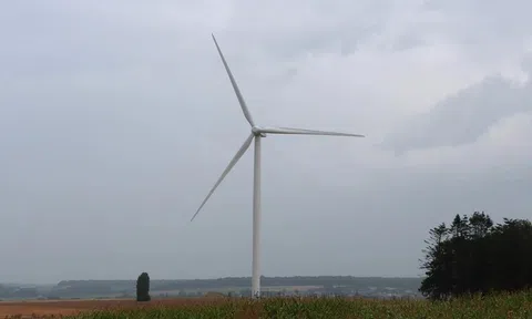 Nỗ lực thúc đẩy hợp tác năng lượng tái tạo giữa Việt Nam và Bỉ