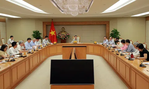 "Thị trường carbon Việt Nam sẽ có sức hút rất lớn đối với các nhà đầu tư"