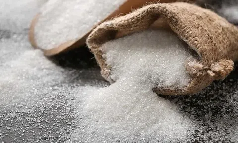 Chuẩn bị tổ chức đấu giá phân giao hạn ngạch nhập khẩu 126.000 tấn đường