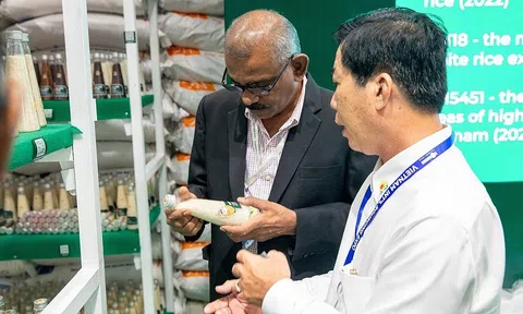 Nguồn cung thắt chặt đẩy giá gạo xuất khẩu chạm mức cao nhất trong gần ba tháng