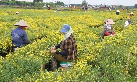 Giải pháp kinh doanh dựa vào tự nhiên mang lại lợi ích kinh tế bền vững cho doanh nghiệp