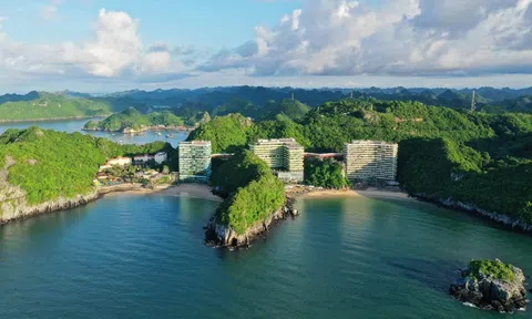 Vịnh Hạ Long - Quần đảo Cát Bà được công nhận là Di sản Địa chất Quốc tế