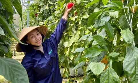 Quy định hữu cơ mới của EU tạo lợi thế cho các hợp tác xã sản xuất theo quy trình hữu cơ