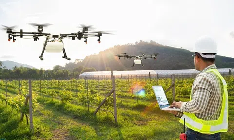 Hàn Quốc thúc đẩy xuất khẩu thiết bị nông nghiệp sang thị trường Việt Nam