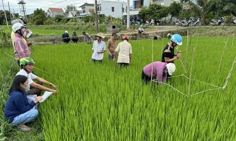 Nông dân Phú Yên được 'cầm tay chỉ việc' về quản lý sức khỏe cây trồng tổng hợp