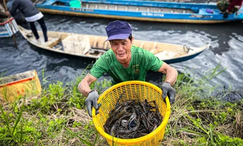 Giá trị kép từ những mô hình sinh thái nông nghiệp ở Đồng bằng sông Cửu Long