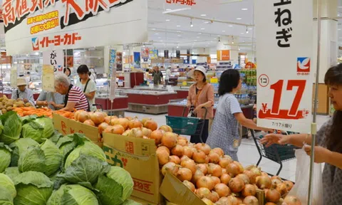 Nâng cao chất lượng và quản trị doanh nghiệp để những sản phẩm có lợi thế của Việt Nam rộng cửa vào thị trường Nhật Bản