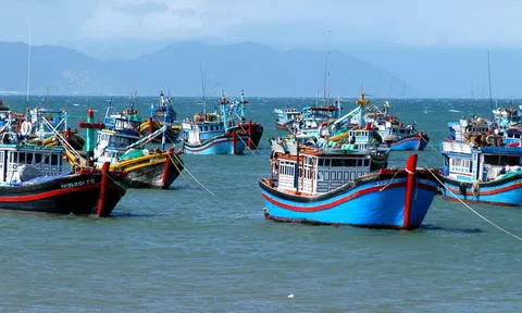 Thủ tướng: Lãnh đạo địa phương ven biển phải chịu trách nhiệm nếu để khai thác hải sản bất hợp pháp
