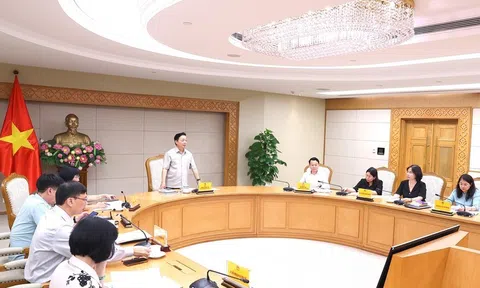 Xử lý vi phạm đất đai: Không để sót hành vi, đối tượng liên quan