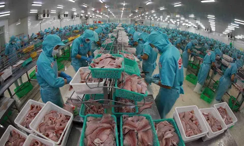 Doanh nghiệp trong nước cần nỗ lực xúc tiến thương mại, mở rộng thị trường ASEAN