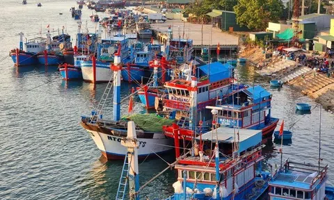 Tập trung nguồn lực cao nhất chống khai thác hải sản trái phép IUU