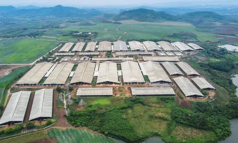 Việt Nam tích cực hoàn thiện thể chế, chính sách thực hiện các cam kết quốc tế về biến đổi khí hậu