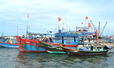 Quảng Nam tháo gỡ các vướng mắc, nỗ lực cấp phép cho 1.169 tàu cá “3 không”