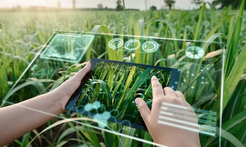 Ứng dụng AI trong sản xuất nông nghiệp là chìa khóa đưa nông sản Việt vươn tầm quốc tế