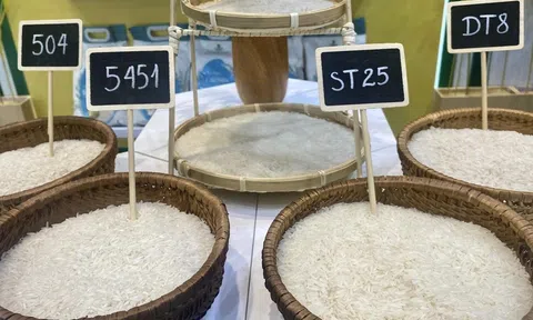 Trong 8 tháng, xuất khẩu gạo của cả nước đạt 6,16 triệu tấn, kim ngạch gần 3,85 tỷ USD