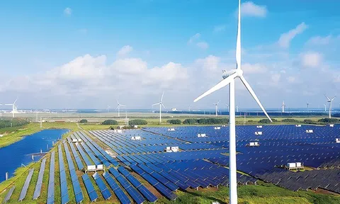 Thúc đẩy các chính sách ưu đãi dự án 'điện xanh' nhằm chuyển dịch năng lượng, giảm phát thải