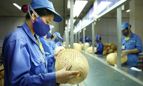 Bộ Tài chính đã miễn giảm, gia hạn thuế gần 90.000 tỷ đồng hỗ trợ doanh nghiệp vượt khó khăn