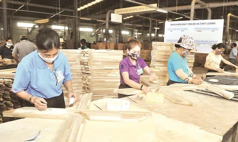 Tăng trưởng tích cực trên 20%, ngành gỗ nắm cơ hội chinh phục mục tiêu 15,2 tỷ USD