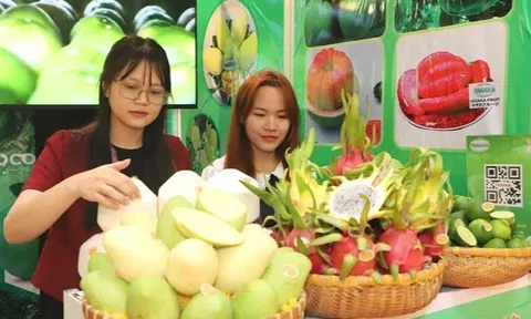 Thương hiệu sản phẩm rau quả Việt nâng tầm tại triển lãm chuyên ngành lớn nhất và duy nhất ở châu Á