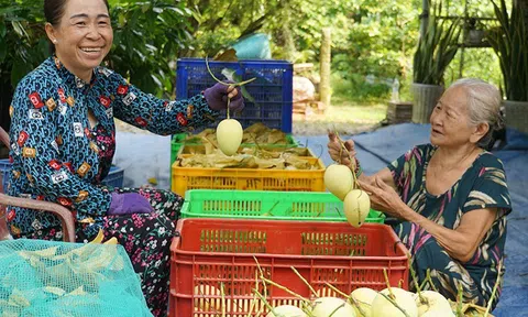 Mở cửa nhiều thị trường mới tạo đà tăng tốc xuất khẩu trái cây Việt Nam