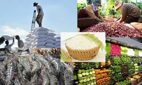 Xuất khẩu nông lâm thủy sản 8 tháng đạt hơn 40 tỷ USD xuất siêu 11,8 tỷ USD, tăng 68,4%