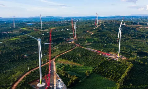 Phát triển kinh tế xanh từ chính sách tới sự hình thành các trụ cột tăng trưởng xanh