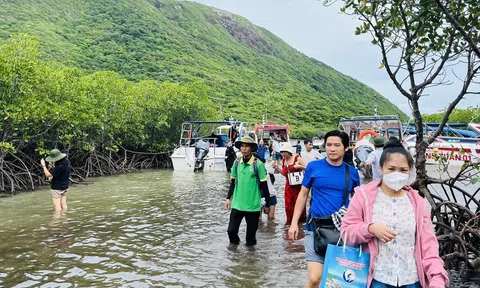 Du lịch xanh tại Việt Nam tạo đòn bẩy phát triển kinh tế gắn với bảo vệ môi trường, hướng tới mục tiêu Net Zero