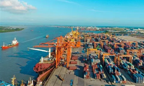 Hải Phòng đẩy mạnh hợp tác phát triển với Thuỵ Điển kiến tạo vị thế trung tâm cảng biển, dịch vụ logistics