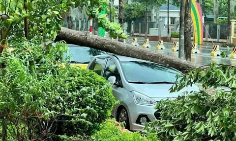 Bộ Tài chính: Doanh nghiệp bảo hiểm thực hiện ngay tạm ứng bồi thường sau bão số 3