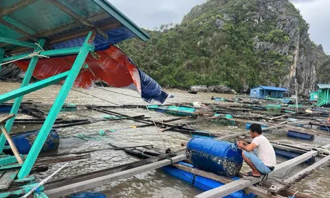 Bị tàn phá nặng nề do bão, ngành thủy sản nỗ lực vượt khó đạt mục tiêu xuất khẩu 9,5 tỷ USD