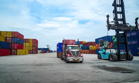 Cục Hàng hải Việt Nam cấm các doanh nghiệp hàng hải lợi dụng bão lũ tăng giá dịch vụ