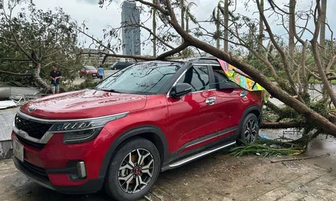 Các doanh nghiệp bảo hiểm bồi thường khoảng 7.000 tỷ đồng thiệt hại do bão số 3 và lũ lụt gây ra