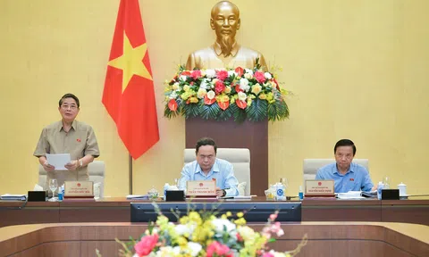 Xử phạt nghiêm minh, đảm bảo sự răn đe đối với hành vi sử dụng các loại hóa chất độc hại