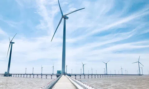 Chính phủ chỉ đạo tháo gỡ khó khăn cho các dự án điện khí, điện gió ngoài khơi