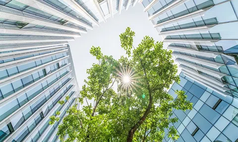 ESG là tiền đề hướng đến sự phát triển bền vững cho doanh nghiệp Việt Nam