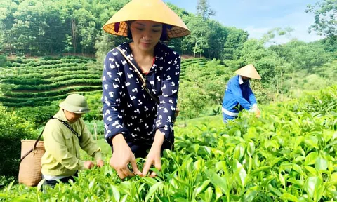 Xanh hóa ngành nông nghiệp – Làn gió mới trong kinh tế nông thôn