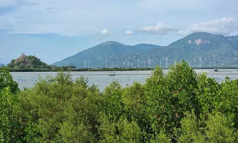 Ninh Thuận đề xuất 103 nhiệm vụ, dự án nhằm thúc đẩy chương trình thích ứng với biến đổi khí hậu