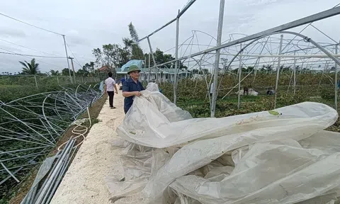 Pháp sẵn sàng hỗ trợ khẩn cấp thiệt hại bão số 3 và hợp tác để Việt Nam bền vững hơn trước thiên tai