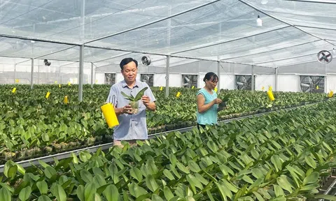 Nông nghiệp đô thị Hà Nội trong xây dựng thành phố thông minh