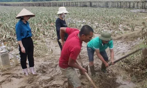 Chịu thiệt hại nặng nề do bão lũ, Lào Cai đề nghị hỗ trợ các loại giống cây trồng để khôi phục sản xuất