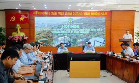 Bão số 3 gây thiệt hại trên 170.000ha rừng, khoảng 200 doanh nghiệp chế biến gỗ bị ảnh hưởng