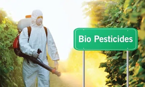 Các quốc gia khuyến khích sử dụng thuốc BVTV sinh học, cơ hội thúc đẩy thị trường toàn cầu