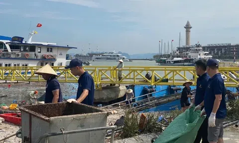 Quảng Ninh nỗ lực xử lý 'khủng hoảng rác' trên Vịnh Hạ Long đưa hoạt động du lịch phục hồi sau bão