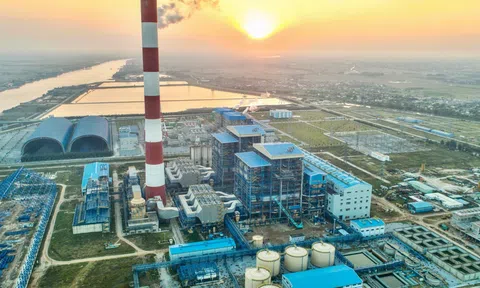 Doanh nghiệp tham gia thị trường carbon cần có tầm nhìn dài hạn về tiềm năng và đón trước những xu thế