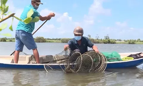 Nuôi thủy sản xen canh kết hợp trồng lúa giúp nông dân 'bỏ túi' từ 80 đến 100 triệu đồng