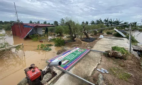 Phục hồi sinh kế cho người dân sau bão lũ, không để xảy ra dịch bệnh trong sản xuất nông, lâm, ngư nghiệp