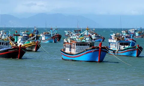 Việt Nam hy vọng sẽ được EC xem xét gỡ bỏ thẻ vàng IUU thủy sản trong tháng 10